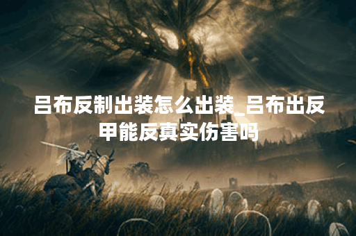 吕布反制出装怎么出装_吕布出反甲能反真实伤害吗