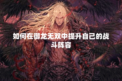 如何在御龙无双中提升自己的战斗阵容？