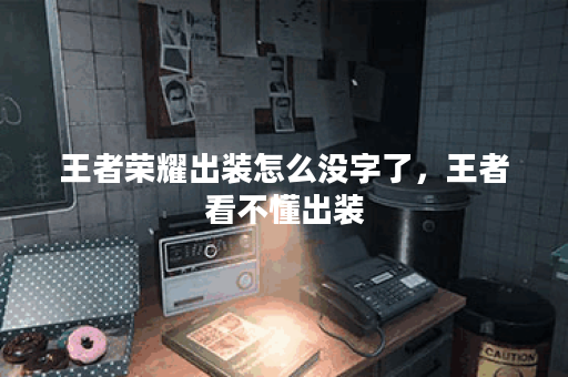 王者荣耀出装怎么没字了，王者看不懂出装