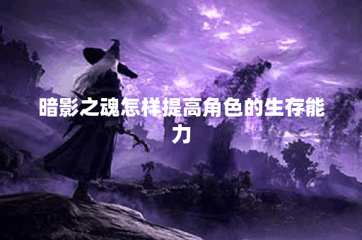 暗影之魂怎样提高角色的生存能力？