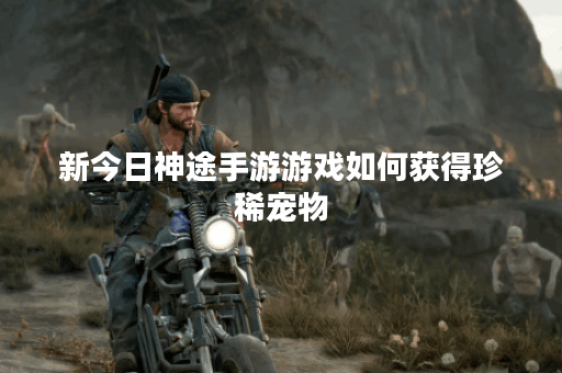 新今日神途手游游戏如何获得珍稀宠物? 新今日神途手游游戏如何获得珍稀宠物?