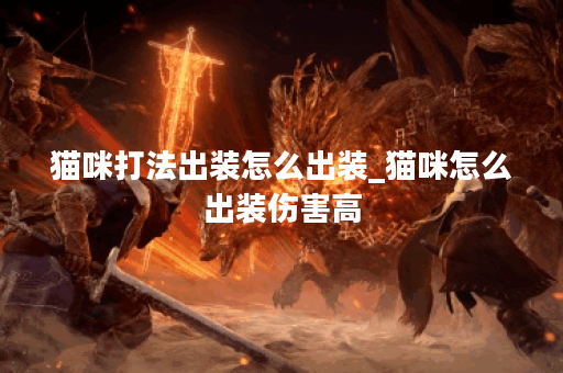 猫咪打法出装怎么出装_猫咪怎么出装伤害高 猫咪打法出装怎么出装_猫咪怎么出装伤害高