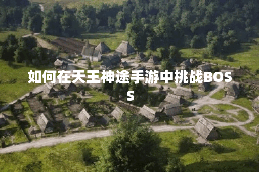 如何在天王神途手游中挑战BOSS？