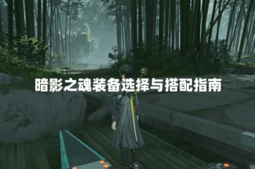 暗影之魂装备选择与搭配指南
