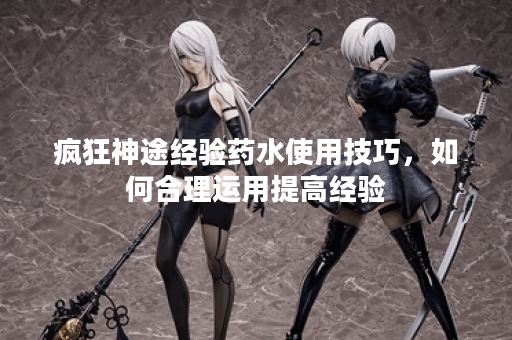 疯狂神途经验药水使用技巧，如何合理运用提高经验？