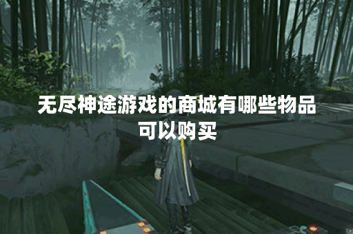 无尽神途游戏的商城有哪些物品可以购买？
