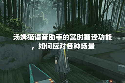 汤姆猫语音助手的实时翻译功能，如何应对各种场景？