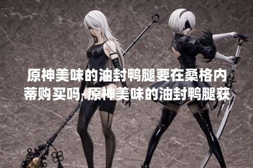 原神美味的油封鸭腿要在桑格内蒂购买吗-原神美味的油封鸭腿获取方法介绍