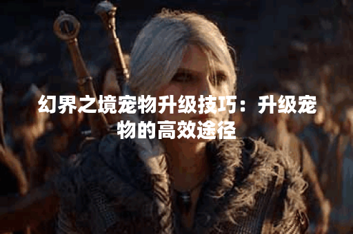 幻界之境宠物升级技巧：升级宠物的高效途径