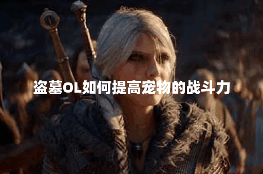 盗墓OL如何提高宠物的战斗力? 盗墓OL如何提高宠物的战斗力?