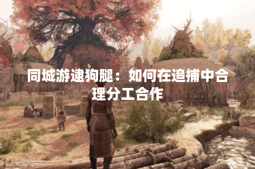 同城游逮狗腿：如何在追捕中合理分工合作？