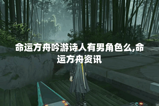 命运方舟吟游诗人有男角色么,命运方舟资讯