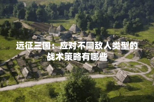 远征三国：应对不同敌人类型的战术策略有哪些？