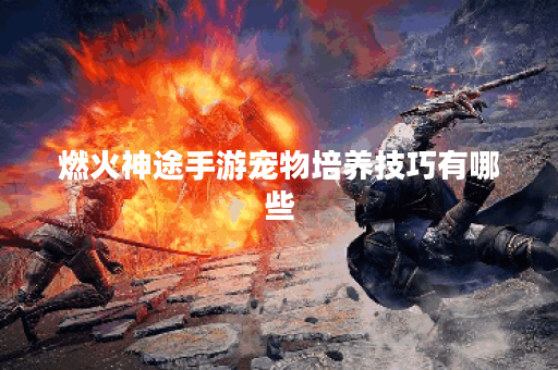 燃火神途手游宠物培养技巧有哪些？