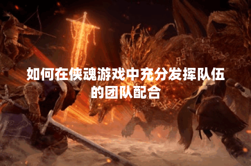 如何在侠魂游戏中充分发挥队伍的团队配合? 如何在侠魂游戏中充分发挥队伍的团队配合?