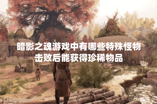 暗影之魂游戏中有哪些特殊怪物击败后能获得珍稀物品？