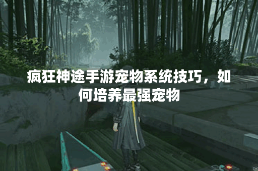 疯狂神途手游宠物系统技巧，如何培养最强宠物？