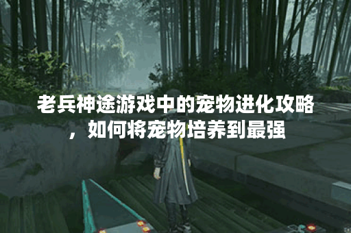 老兵神途游戏中的宠物进化攻略，如何将宠物培养到最强？