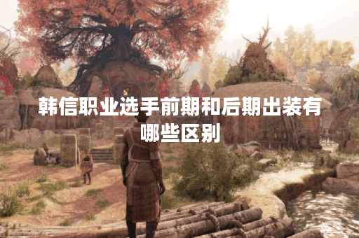 韩信职业选手前期和后期出装有哪些区别？如何选择最佳装备？