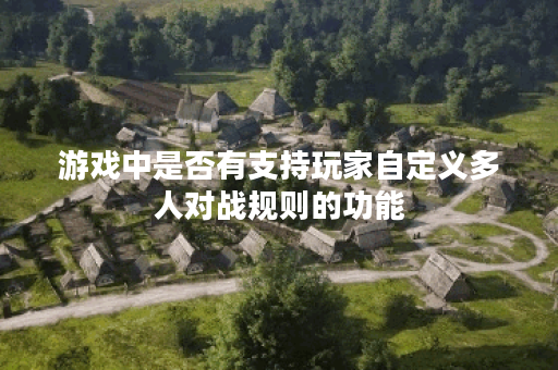 游戏中是否有支持玩家自定义多人对战规则的功能？