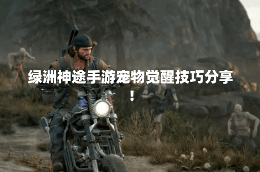 绿洲神途手游宠物觉醒技巧分享！