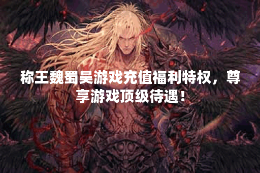 称王魏蜀吴游戏充值福利特权，尊享游戏顶级待遇！