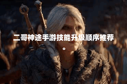 二哥神途手游技能升级顺序推荐	。