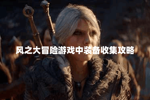风之大冒险游戏中装备收集攻略？