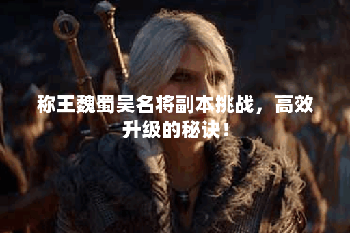 称王魏蜀吴名将副本挑战，高效升级的秘诀！