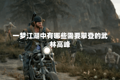 一梦江湖中有哪些需要攀登的武林高峰？