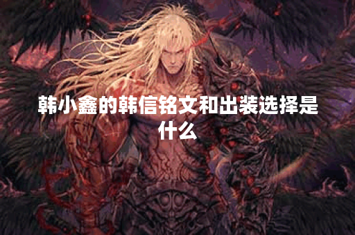 韩小鑫的韩信铭文和出装选择是什么？如何搭配才能提升战斗力？
