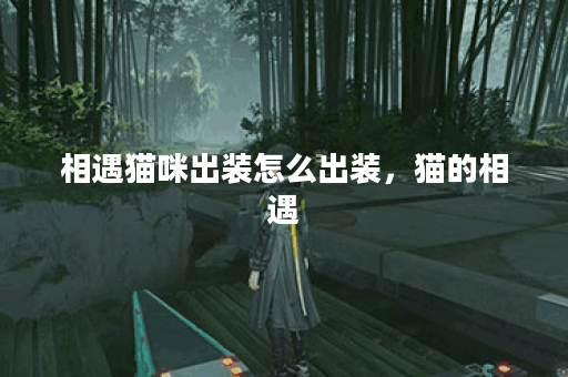 相遇猫咪出装怎么出装，猫的相遇