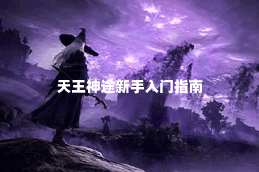 天王神途新手入门指南