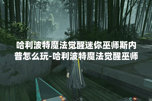 哈利波特魔法觉醒迷你巫师斯内普怎么玩-哈利波特魔法觉醒巫师斯内普谜题推荐一览