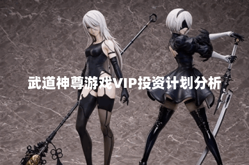 武道神尊游戏VIP投资计划分析