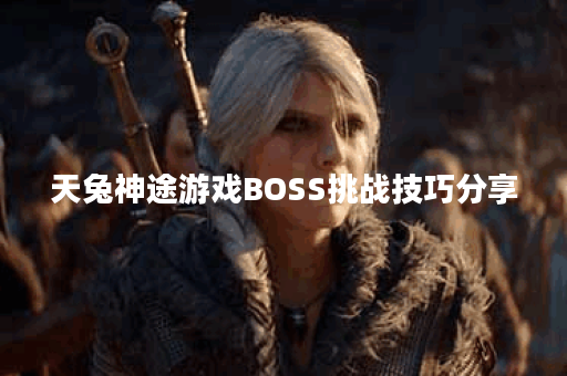 天兔神途游戏BOSS挑战技巧分享