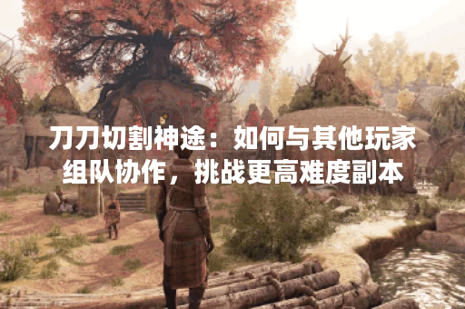 刀刀切割神途：如何与其他玩家组队协作，挑战更高难度副本？
