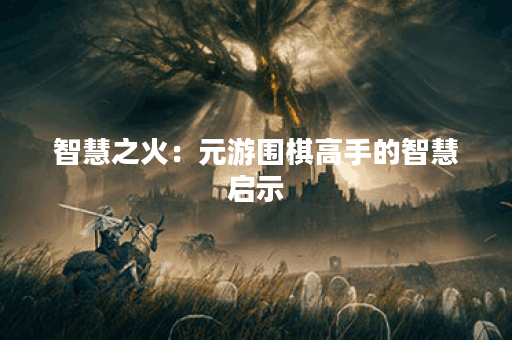 智慧之火：元游围棋高手的智慧启示