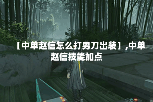 【中单赵信怎么打男刀出装】,中单赵信技能加点