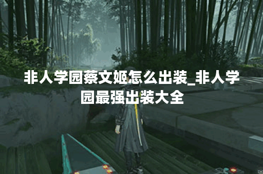 非人学园蔡文姬怎么出装_非人学园最强出装大全