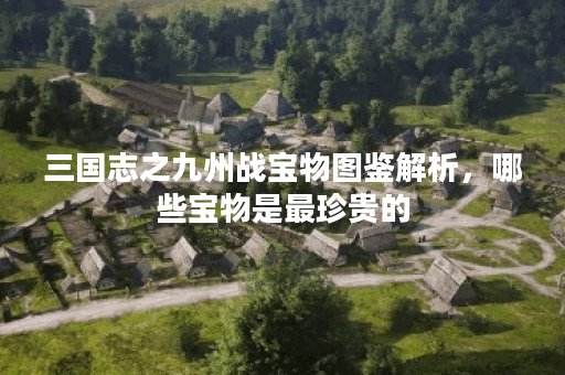 三国志之九州战宝物图鉴解析，哪些宝物是最珍贵的？