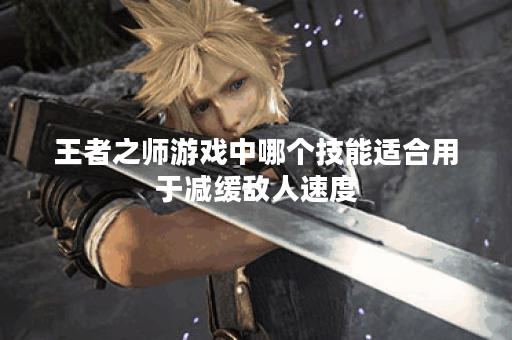 王者之师游戏中哪个技能适合用于减缓敌人速度？