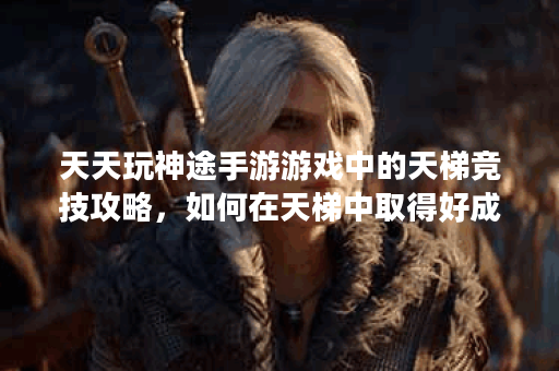 天天玩神途手游游戏中的天梯竞技攻略，如何在天梯中取得好成绩？