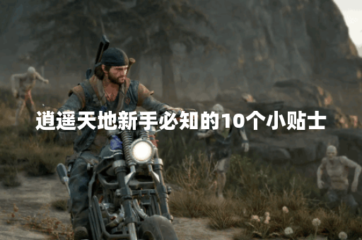 逍遥天地新手必知的10个小贴士