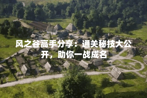 风之谷高手分享：通关秘技大公开，助你一战成名
