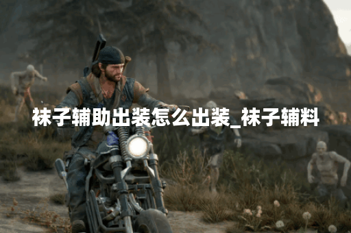 袜子辅助出装怎么出装_袜子辅料