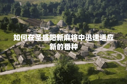 如何在圣盛阳新麻将中迅速适应新的番种？