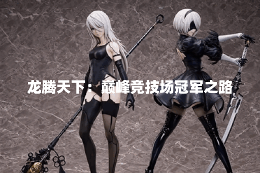龙腾天下：巅峰竞技场冠军之路