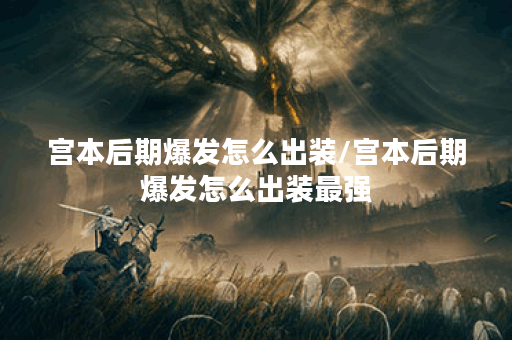 宫本后期爆发怎么出装/宫本后期爆发怎么出装最强