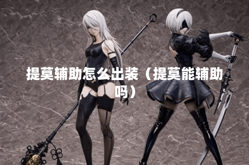 提莫辅助怎么出装（提莫能辅助吗）